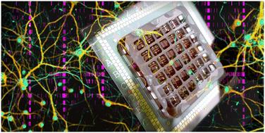 A microphysiological system for parallelized morphological and electrophysiological read-out of 3D neuronal cell culture†