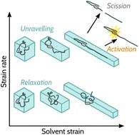 Theory of flow-induced covalent polymer mechanochemistry in dilute solutions†