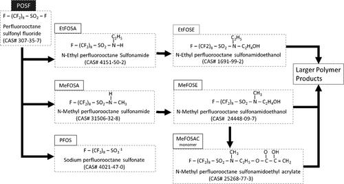 Mortality and cancer incidence in perfluorooctanesulfonyl fluoride production workers