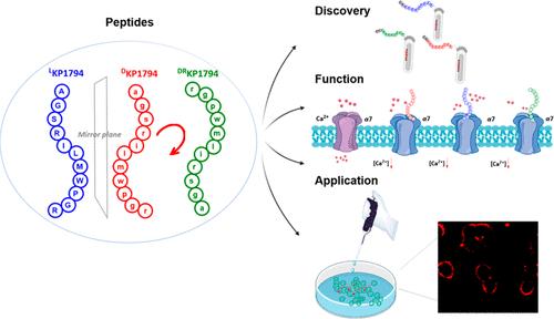 De Novo Screening and Mirror Image Isomerization of Linear Peptides Targeting α7 Nicotinic Acetylcholine Receptor