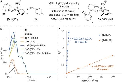 A Photocatalytic Approach for the Synthesis of L-Shape Bicyclic NHC Ligands