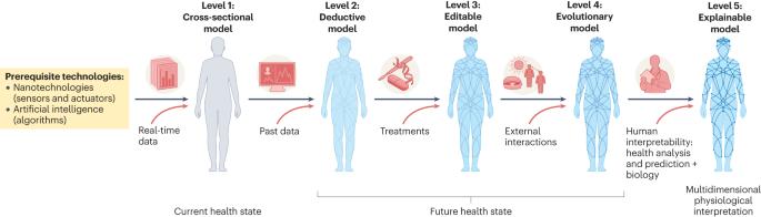 A roadmap for the development of human body digital twins