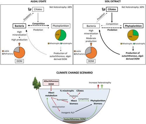 Algal- and soil-derived dissolved organic matter shapes bacteria-phytoplankton interactions in a high-altitude lake