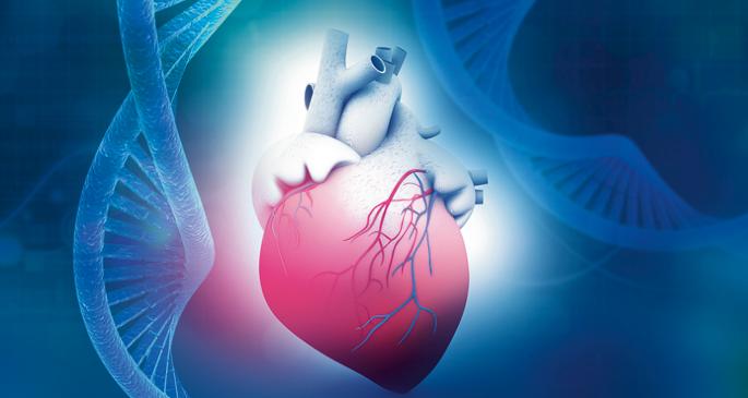 DYRK1A gene linked to heart defects in Down syndrome