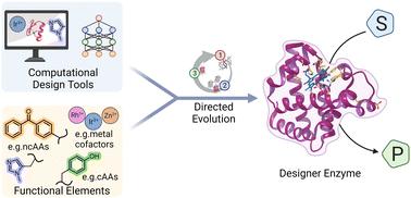 Strategies for designing biocatalysts with new functions