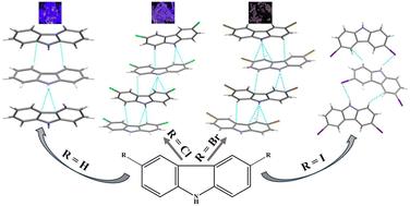 Halogen atom substitution effect on the carbazole fluorescence properties and supramolecular interactions in the solid-state†