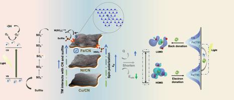 Understanding the role of transition metal single-atom electronic structure in oxysulfur radical-mediated oxidative degradation