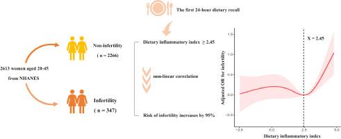 High Dietary Inflammatory Index increases the risk of female infertility: An analysis of NHANES 2013-2018