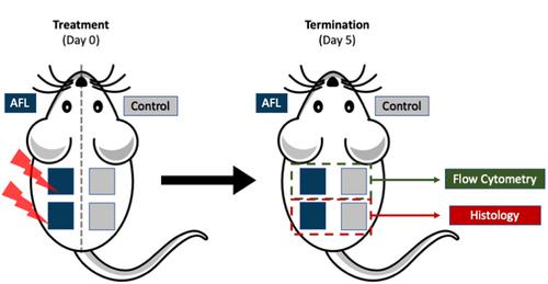 Ablative fractional CO2 laser treatment promotes wound healing phenotype in skin macrophages