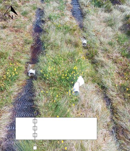 Blanket bogs exhibit significant alterations to physical properties as a result of temporary track removal or abandonment