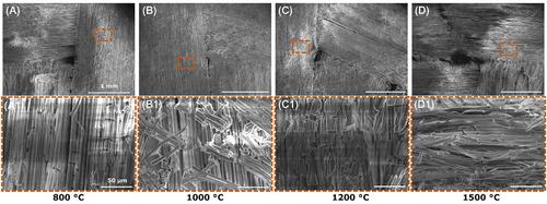 Hybrid HfC-SiCN matrix for improved oxidation resistance of carbon fiber–reinforced mini-composites