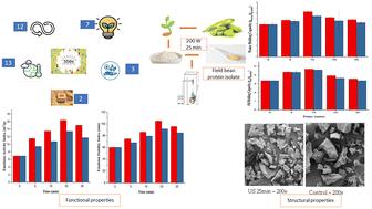 Modifications of physicochemical, functional, structural, and nutritional properties of a field bean protein isolate obtained using batch and continuous ultrasound systems