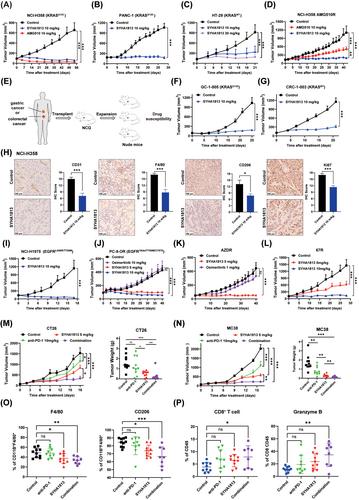 A novel strategy for treating oncogene-mutated tumors by targeting tumor microenvironment and synergistically enhancing anti-PD-1 immunotherapy