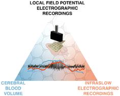 Concurrent functional ultrasound imaging with graphene-based DC-coupled electrophysiology as a platform to study slow brain signals and cerebral blood flow under control and pathophysiological brain states†