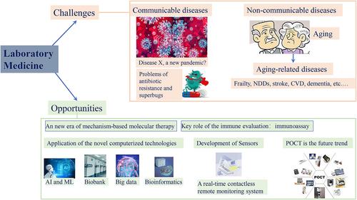 From bench to bedside: Opportunities and challenges for iLABMED