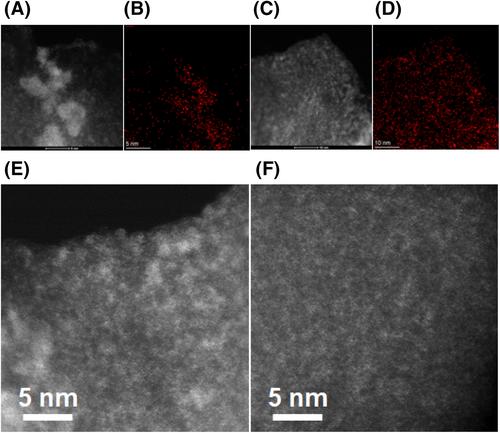 Co(O)4(N)-type single-atom-based catalysts and ligand-driven modulation of electrocatalytic properties for reducing oxygen molecules