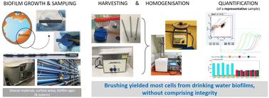Emerging investigator series: optimisation of drinking water biofilm cell detachment and sample homogenisation methods for rapid quantification via flow cytometry†