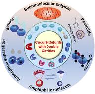 Double-cavity cucurbiturils: synthesis, structures, properties, and applications