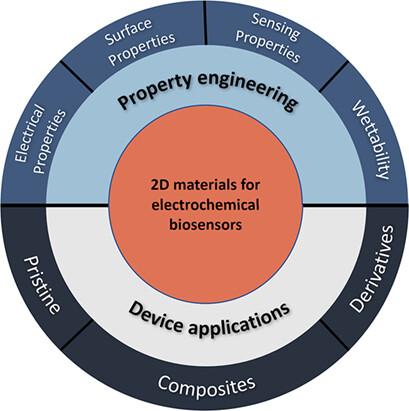 Two-Dimensional Materials Integrated in Electrochemical Biosensors for Virus Detection: Property Engineering Strategies and Device Applications