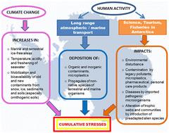 Environmental contamination and climate change in Antarctic ecosystems: an updated overview