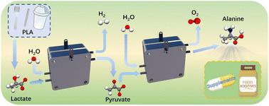 Beyond biodegradation: upcycling of polylactic acid plastic waste into amino acids via cascade catalysis under mild conditions†