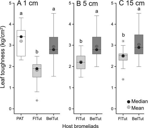 Potential bottom-up control of Metamasius callizona in Florida, USA