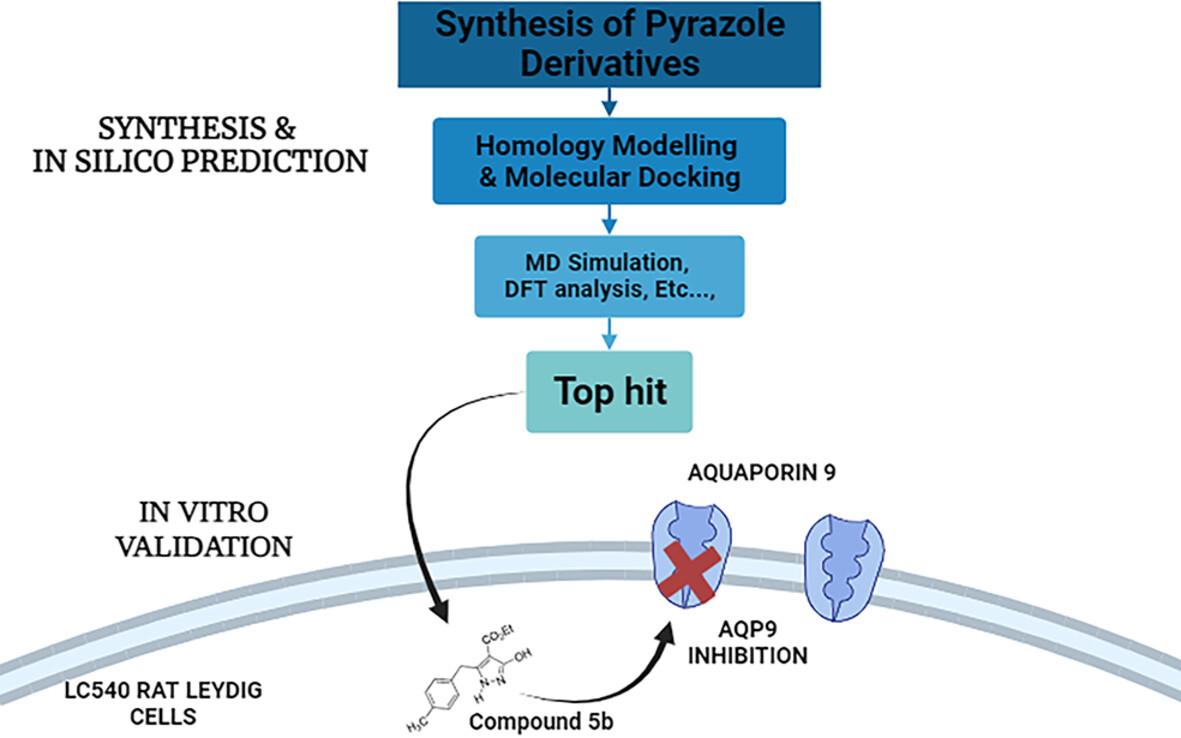 Synthesis and biological evaluation of 3-hydroxypyrazoles as aquaporin 9 inhibitors