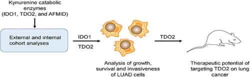 Potential of Targeting TDO2 as the Lung Adenocarcinoma Treatment