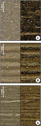 Re-investigation of the Bispingen palaeolake sediment succession (northern Germany) reveals that the Last Interglacial (Eemian) in northern-central Europe lasted at least ~15 000 years