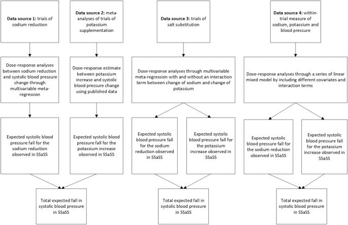 The contribution of sodium reduction and potassium increase to the blood pressure lowering observed in the Salt Substitute and Stroke Study