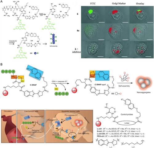 Intracellular Chemical Reaction-Induced Self-Assembly for the Construction of Artificial Architecture and Its Functions