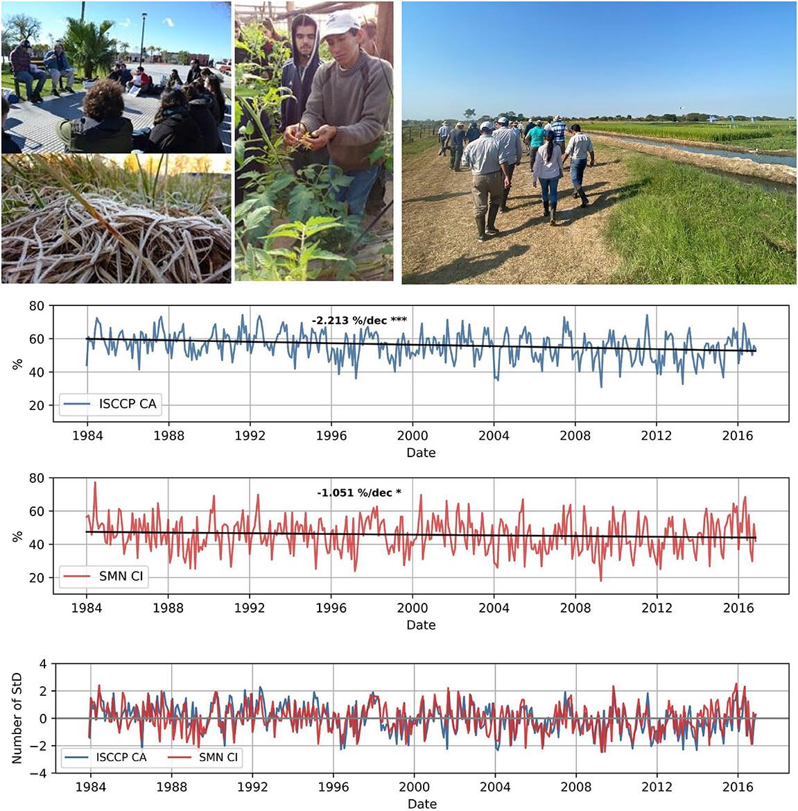 Climatology and trends of cloudiness in a productive rice and vegetable region of South-Eastern South America