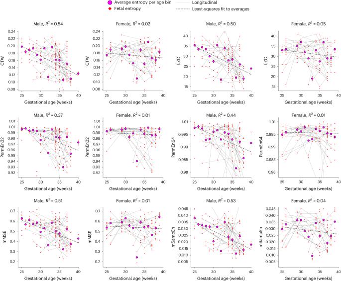 Sex differences in prenatal development of neural complexity in the human brain