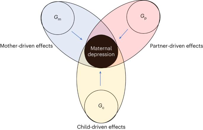 Disentangling direct and indirect genetic effects from partners and offspring on maternal depression using trio-GCTA