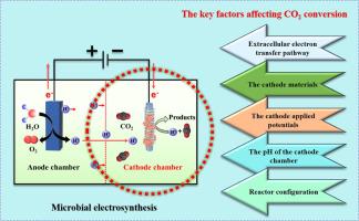 Role of the cathode chamber in microbial electrosynthesis: A comprehensive review of key factors