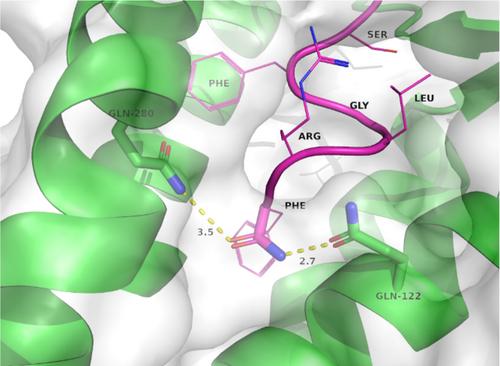 Revealing the Indispensable Role of the RFamide Functionality using a Novel Acid Labile Benzofuranone based Amine (ALBA) Linker