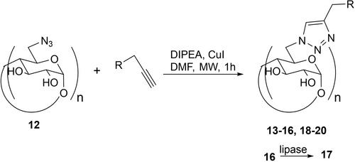 New Selective Inhibitors of α-Glucosidase for the Treatment of Type 2 Diabetes Mellitus