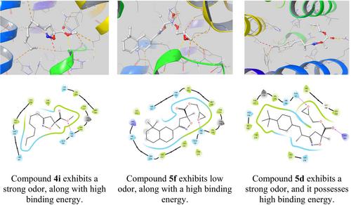 Design, synthesis, olfactory evaluation and molecular docking study of Isoxazoline carboxylate derivatives as fragrance molecules