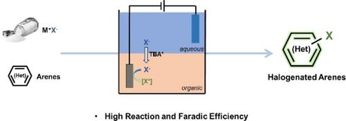 Phase-Transfer Catalysis for Electrochemical Chlorination and Nitration of Arenes