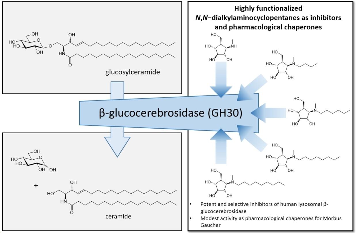 N-Methyl-N-Alkylaminocyclopentanes: Powerful and Selective β-d-Glucocerebrosidase Inhibitors