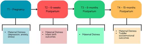 A longitudinal study examining the associations between prenatal and postnatal maternal distress and toddler socioemotional developmental during the COVID-19 pandemic