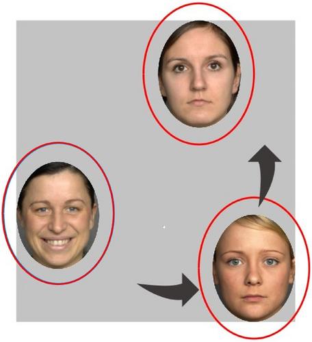 Sustained looking at faces at 5 months of age is associated with socio-communicative skills in the second year of life