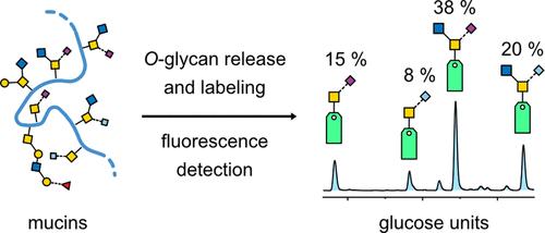 Labeling of Mucin-Type O-Glycans for Quantification Using Liquid Chromatography and Fluorescence Detection