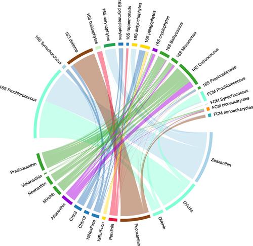 Toward a synthesis of phytoplankton community composition methods for global-scale application