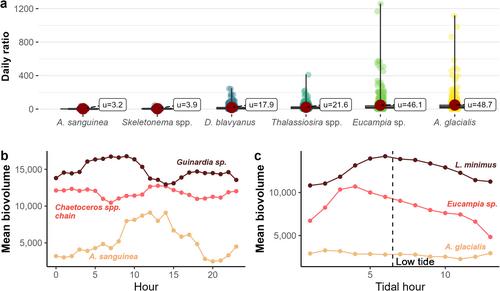 Hit or miss? Impact of time series resolution on resolving phytoplankton dynamics at hourly, weekly, and satellite remote sensing frequencies