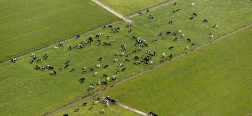 Farmers' Perceptions of Obstacles to Business Development
      Perceptions des agriculteurs quant aux obstacles au développement des entreprises
      Hindernisse in der Unternehmensentwicklung und ihre Wahrnehmung in der Landwirtschaft