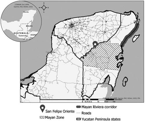 Changing Trees, Enduring Forests: Institutional Bricolage, Gradual Change and Community Forestry among Yucatec Mayans in Mexico