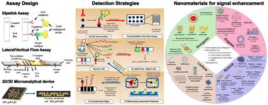 Paper-based point of care diagnostics for cancer biomarkers