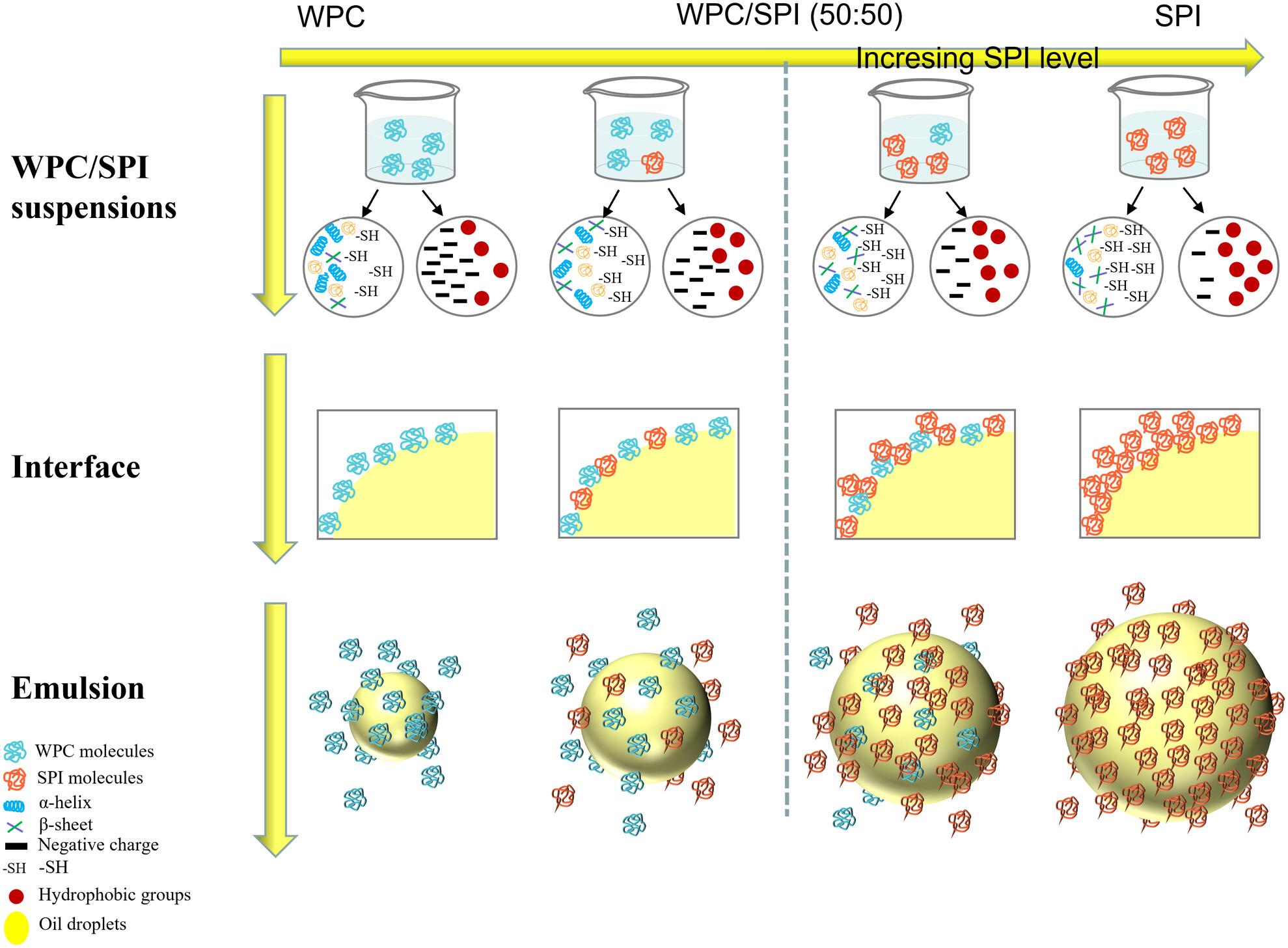 Physicochemical, structural, and emulsifying properties of stable blended whey and soy protein colloidal dispersion prepared by pH-shifting and ultrasound