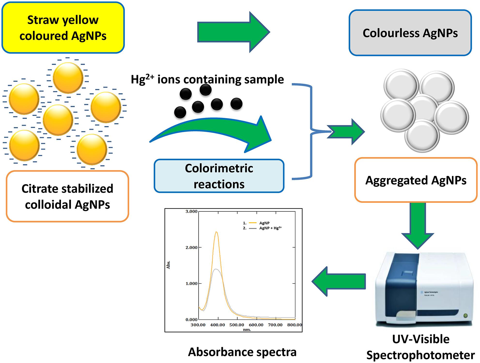 Silver nanoparticles as colorimetric probe for selective determination of Hg2+ from milk samples with ultrasound-assisted extraction protocol